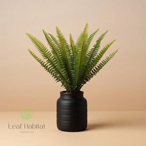 Peut inclure: Une plante de fougère artificielle avec des frondes vert vif. Elle est présentée dans un vase cylindrique noir mat avec des rainures horizontales. Le fond est beige neutre. Le logo "Leaf Habitat" est visible en bas.