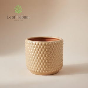 May include: A beige ceramic planter with a textured, bubble-like pattern. The interior is a contrasting terracotta color. The planter is cylindrical and has a rounded base. The logo "Leaf Habitat" is in the upper left corner.