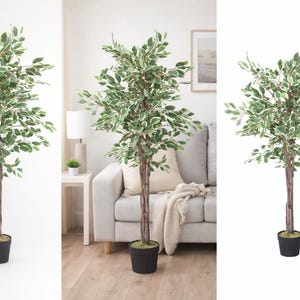 May include: Artificial ficus tree with green and white leaves, in a black pot. The tree has a brown trunk and stands approximately 51 inches tall. The tree is a decorative element for indoor spaces.