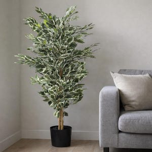 May include: An artificial ficus tree in a black pot. The tree features green and white variegated leaves and a brown trunk. It is positioned next to a grey sofa with a beige cushion. The room has a neutral colour scheme.