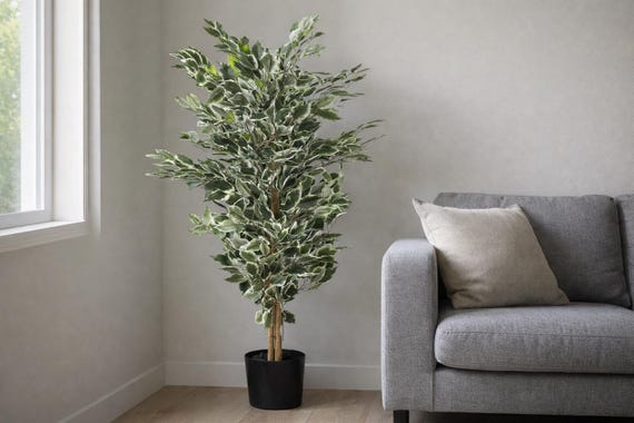 Artificial Plants/ Fake Plants/ Indoor Plants, Ficus Tree Home Decor, House Warming Gifts, Last Minute Gifts, Office decor , New House gift