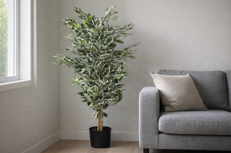May include: A tall, artificial ficus tree in a black pot. The tree has green and white variegated leaves and a brown trunk. It is placed next to a gray sofa with a beige pillow. The room has a neutral color palette.