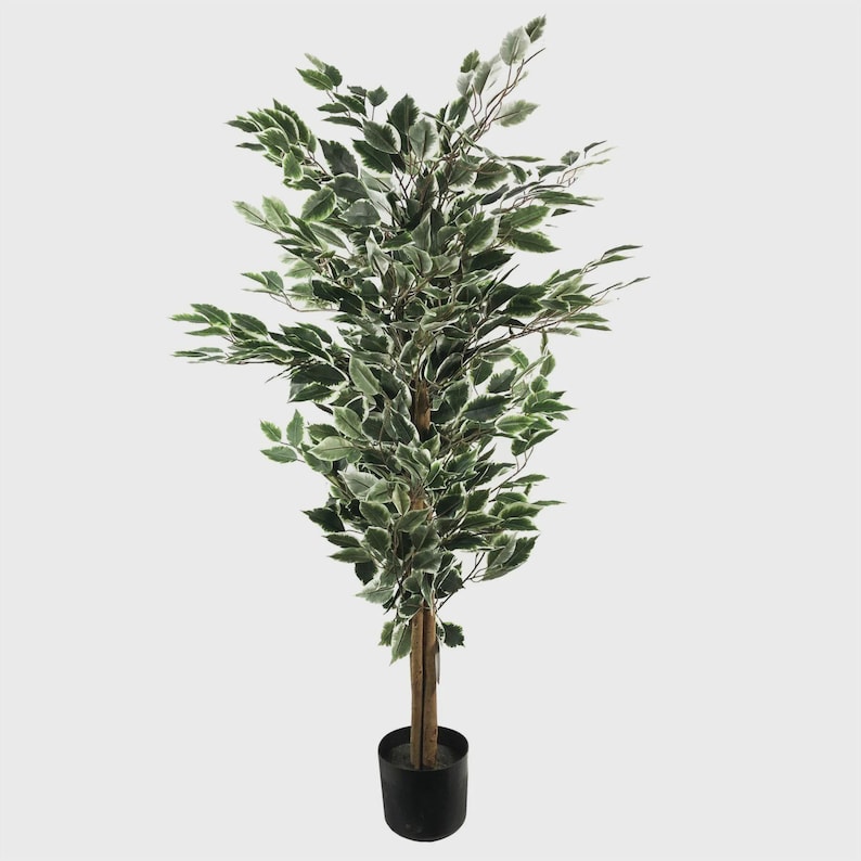 May include: A tall artificial tree with green and white variegated leaves. The tree has a brown trunk and is potted in a black plastic pot. The leaves are dense and create a full, natural appearance. The tree is a decorative item for indoor spaces.