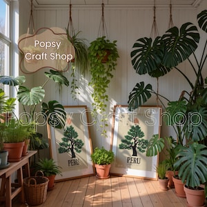 May include: A bright, sunlit room filled with potted plants and framed art. Two framed prints with a tree graphic and the word "PERU" are propped against a wall. Hanging plants and various potted plants create a lush, green environment. The shop name "Popsy Craft Shop" is visible.