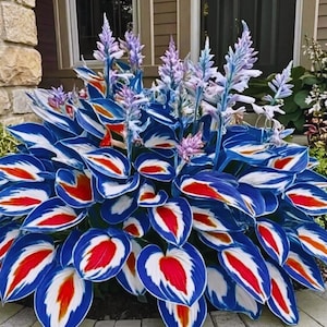 Puede incluir: Un letrero de madera rústica con la frase "Welcome to our home" en letras blancas. El letrero presenta un acabado envejecido y un diseño sencillo y acogedor, ideal para la decoración.