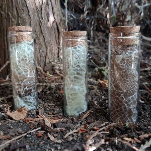 May include: Three clear cylindrical glass vials, each sealed with a natural cork stopper. Inside each vial is a piece of shed snake skin, displaying a distinct hexagonal scale pattern. The skins vary in colour from translucent white to light brown.