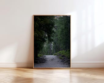 Dolomites Photo Print | Northern Italy | Tyrol Mountain Nature Photography | Dark Forest