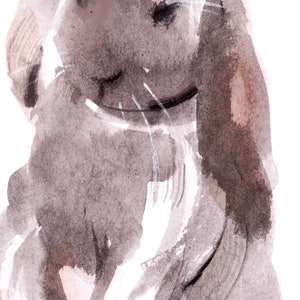 Franch lop rabbit, giclée print of original watercolor by Chance Lee, minimalist, wall art, gift, illustration image 2