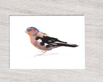 Chaffinch, giclée print of original watercolor by Chance Lee, minimalist, wall art, gift, illustration