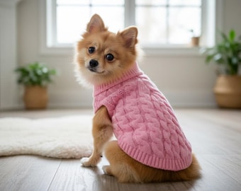 May include: A small, tan-colored dog wearing a pink cable-knit sweater. The dog is sitting on a wooden floor in a well-lit room, with a white rug and potted plants in the background.