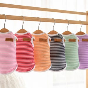 May include: Six striped dog shirts in pink, red, orange, navy, green, and purple hang on a wooden rack. Each shirt has a white collar and a brown leather patch that says "CLASSIC".