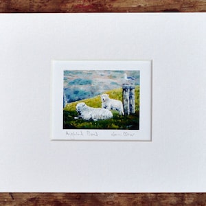 Schaf auf grüner Weide mit Möwe - MINI GICLEE