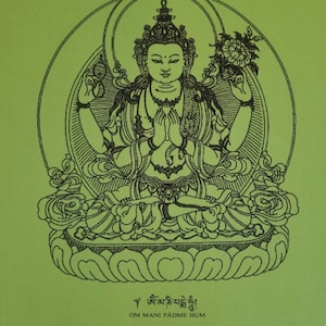 May include: A green image with a black line drawing of Avalokiteshvara, the Buddha of Compassion, seated on a lotus flower. The image includes the mantra "Om Mani Padme Hum" and the name "Avalokiteshvara".
