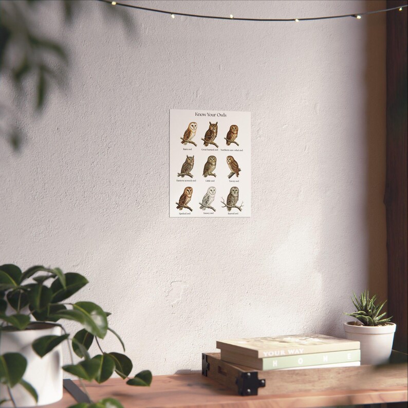 Poster Metallo Retrò British Garden Birds Identification Chart – 20x30 Cm, Targa Decorativa Da Parete - 4