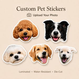 May include: Custom pet stickers featuring five die-cut portraits of different dog breeds, including a brown poodle, a black and white border collie, a white fluffy dog, a golden retriever, and a light-colored puppy, with text reading Custom Pet Stickers.