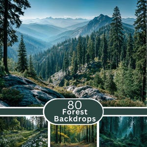 May include: A collection of 80 forest backdrops featuring a large landscape of pine trees and rocky terrain in the upper section, with smaller inset images of a flower-filled meadow, a golden forest path, and a mossy woodland scene below.