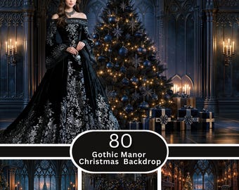 Gothic Manor Christmas Winter Photo Backdrop | Candlelit Cathedral Hall | Couples Senior Portrait Session | Download JPG Set