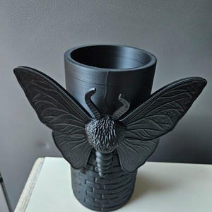 May include: A black decorative container with a moth design. The container has a cylindrical shape with a basket-weave base and a moth with outstretched wings. The moth has detailed wing patterns and a textured body.