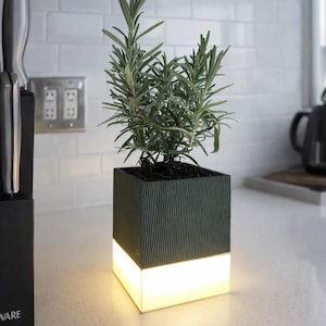 Puede incluir: Una maceta iluminada moderna con una planta de romero. La maceta cuadrada de color gris oscuro tiene un diseño texturizado con líneas verticales y una base luminosa blanca. La planta tiene hojas verdes en forma de aguja. La maceta está sobre una encimera blanca.