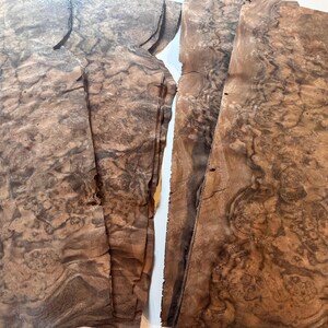 Highly Figured Black Walnut Burl 18+ Sheet Bundle Veneer 6&quot; x 15&quot; Woodworkers