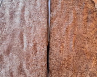 Eucalyptus Burl Veneer 11+ sheets 10" x 24"