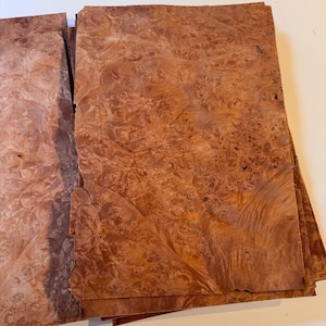 Rare ~ Madrone Veneer Burl 7&quot; x 10&quot; 24 Sheets