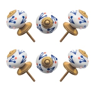 May include: Six white ceramic cabinet knobs with blue and red floral designs. Each knob has a gold-colored base and a threaded screw for installation. The knobs are arranged against a white background.