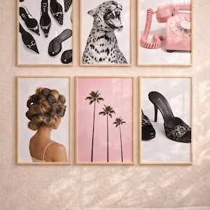 May include: A collection of framed art prints featuring fashion and lifestyle themes. Prints include black and white shoe arrangements, a roaring leopard, a pink rotary phone, a woman with hair rollers, palm trees, and a high-heeled shoe.