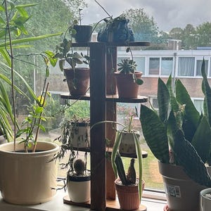 Suporte de madeira artesanal para plantas | Prateleira de 4 níveis ideal para interiores, perfeita para quem mora de aluguel