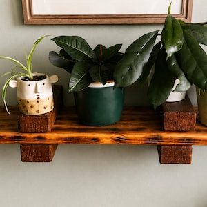 Op de afbeelding: Een rustieke houten plank met drie potplanten. De plank is gemaakt van donker gebeitst hout en wordt ondersteund door drie houten blokken. De planten zijn onder meer een graslelie in een gezichtsvormige pot, een donkergroene plant in een groene pot en een plant in een lichtgroene pot.