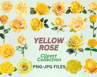 Paquete de imágenes prediseñadas de rosas amarillas en acuarela, gráficos PNG florales (descarga digital)