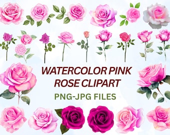 Rosa rosada en acuarela PNG, paquete floral vintage (descarga digital)