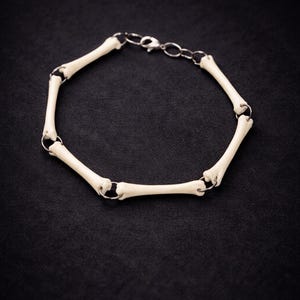 Può includere: Un braccialetto di ossa con una serie di piccoli segmenti ossei biancastri collegati da anelli di metallo color argento e una chiusura. Il braccialetto è posto su uno sfondo scuro, creando un contrasto sorprendente. Un gioiello unico.