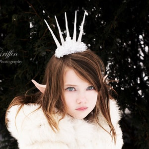 Ice Queen Crown, Snow Queen Crown, Ice Fairy, Snow Fairy, Winter Fairy, Winter Crown, Ice Tiara, LARP, Fairy Costume, Ice Crown, Frost Queen
