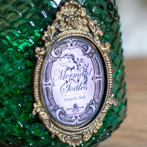 Mermaid Scales Potion Bottle, Mermaid Potions, Mermaid Apothecary ...