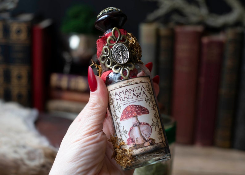 Red Toadstool Mushroom Apothecary Jar for Halloween Decor, Toadstool Potion Bottles, Halloween Potions, Cottagecore, Forest Witch Apothecary Style D