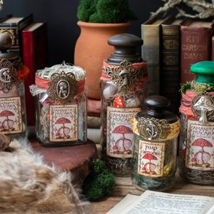 Toadstool Mushroom Apothecary Jar, Halloween Decor, Toadstool Potion Bottles, Halloween Potions, Cottagecore, Forest Witch Apothecary