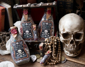 Cursed Pirate Treasure Potion Bottle for Halloween Parties, Gothic Home Decor or Magical Decor for Bookshelf Display