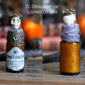 Mini Wizard School Potion Bottle, Potions Class, Potion Bottle, Movie Props, Wizarding School, Witch Potions, Holiday Gift Idea D. Draught