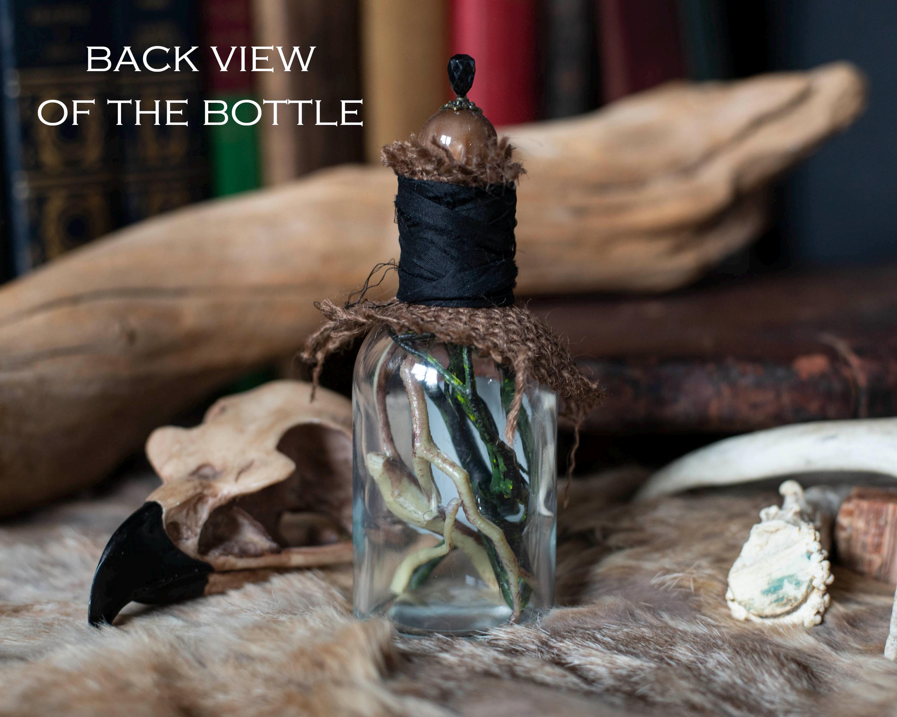 Hemlock Root Potion Bottle, Fantasy Apothecary Decor, Halloween 