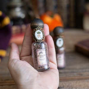 Mini Wizard School Potion Bottle, Potions Class, Potion Bottle, Movie Props, Wizarding School, Witch Potions, Holiday Gift Idea image 10