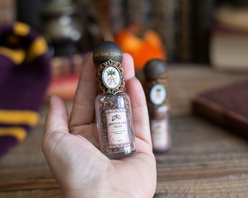 Mini Wizard School Potion Bottle, Potions Class, Potion Bottle, Movie Props, Wizarding School, Witch Potions, Holiday Gift Idea image 10