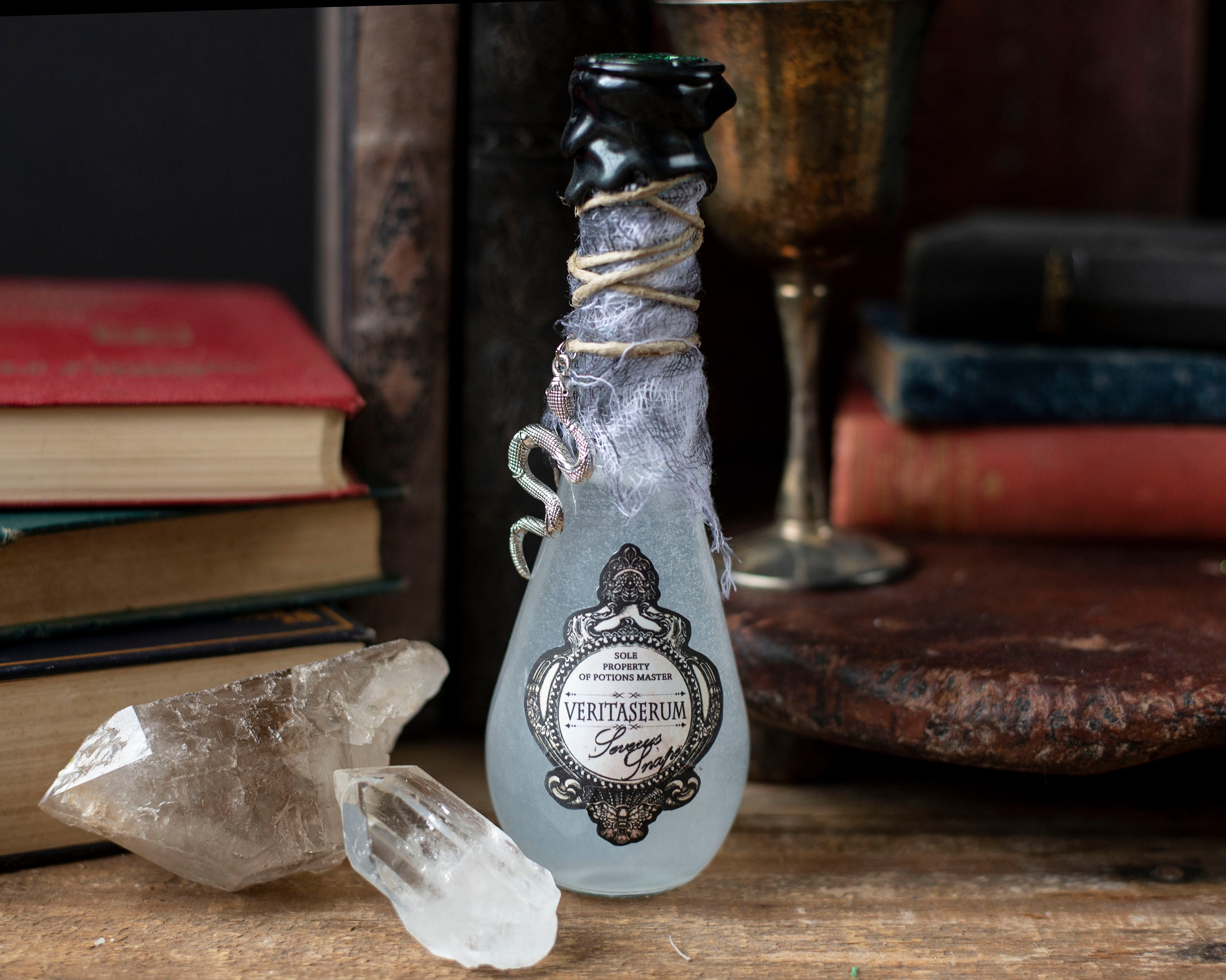 Veritaserum Potion Bottle, Fantasy Halloween Decor With Silver
