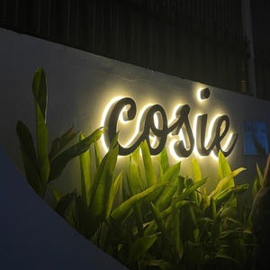 Puede incluir: Un letrero de pared con la palabra cosie en letras cursivas oscuras y tridimensionales. El letrero est&aacute; iluminado desde atr&aacute;s con una luz c&aacute;lida y brillante que proyecta un halo suave contra la pared, situado sobre plantas de hojas verdes.