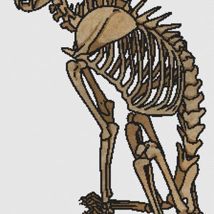 Puede incluir: Un patr&oacute;n de punto de cruz que presenta un esqueleto felino de color tostado y marr&oacute;n en posici&oacute;n sentada. El dise&ntilde;o muestra el cr&aacute;neo, la caja tor&aacute;cica, la columna vertebral y las extremidades de un gato en un estilo pixelado sobre fondo.