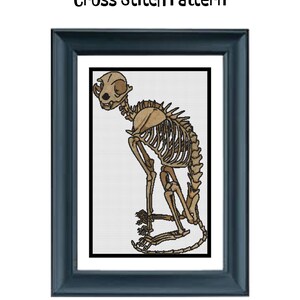 Puede incluir: Un patr&oacute;n de punto de cruz contado titulado Skeleton Cat Counted Cross Stitch Pattern, con una ilustraci&oacute;n de un esqueleto de gato color canela. El dise&ntilde;o mide 224 x 347 puntos, 31,6 x 49 cm a 18ct, usa 21 colores y est&aacute; enmarcado.