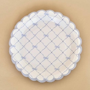 Può includere: Un piatto rotondo di carta bianca con bordo smerlato. Il piatto presenta un motivo a griglia blu con piccoli accenti a fiocco. Il piatto è progettato per servire cibo ed è posto su uno sfondo neutro.