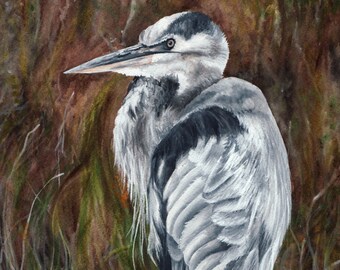 Limited Edition Print of Original Heron Watercolor Painting