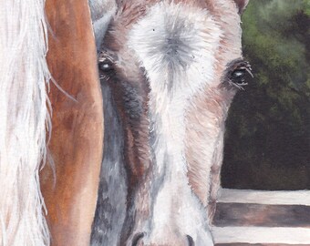 Limited Edition Print of Original Foal Watercolor Painting