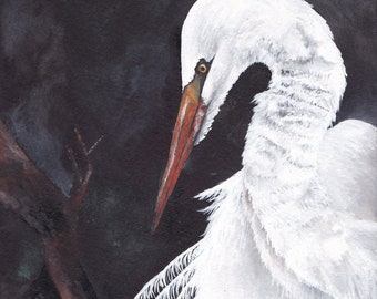 Egret Signed and Numbered Matted Print